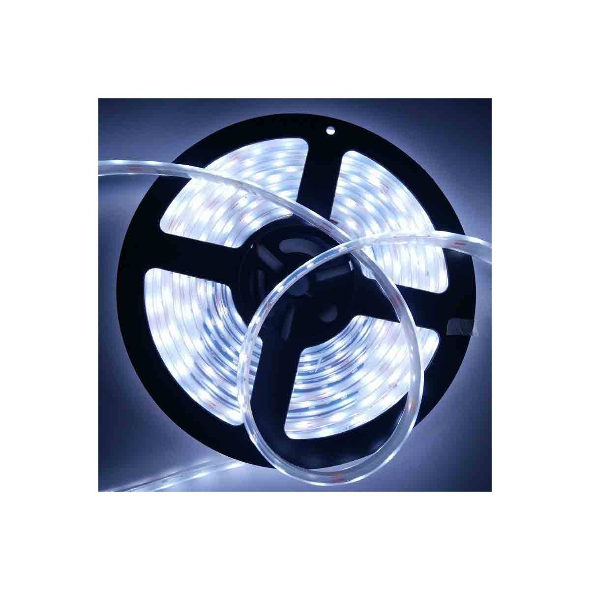 Comprar Tira Led V Smd W Plastificada Ip Barcelonaled