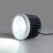 Módulo LED 30W QR111- CCT - Driver externo - 60° - CRI 90