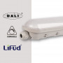 Pantalla estanca LED lineal enlazable- Regulable DALI - CCT - 150cm - 55W - Driver LIFUD - IP65