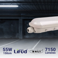 Pantalla estanca LED lineal enlazable- Regulable DALI - CCT - 150cm - 55W - Driver LIFUD - IP65