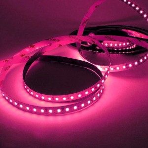 LED-Streifen 24V DC - Farben - pinke LEDs