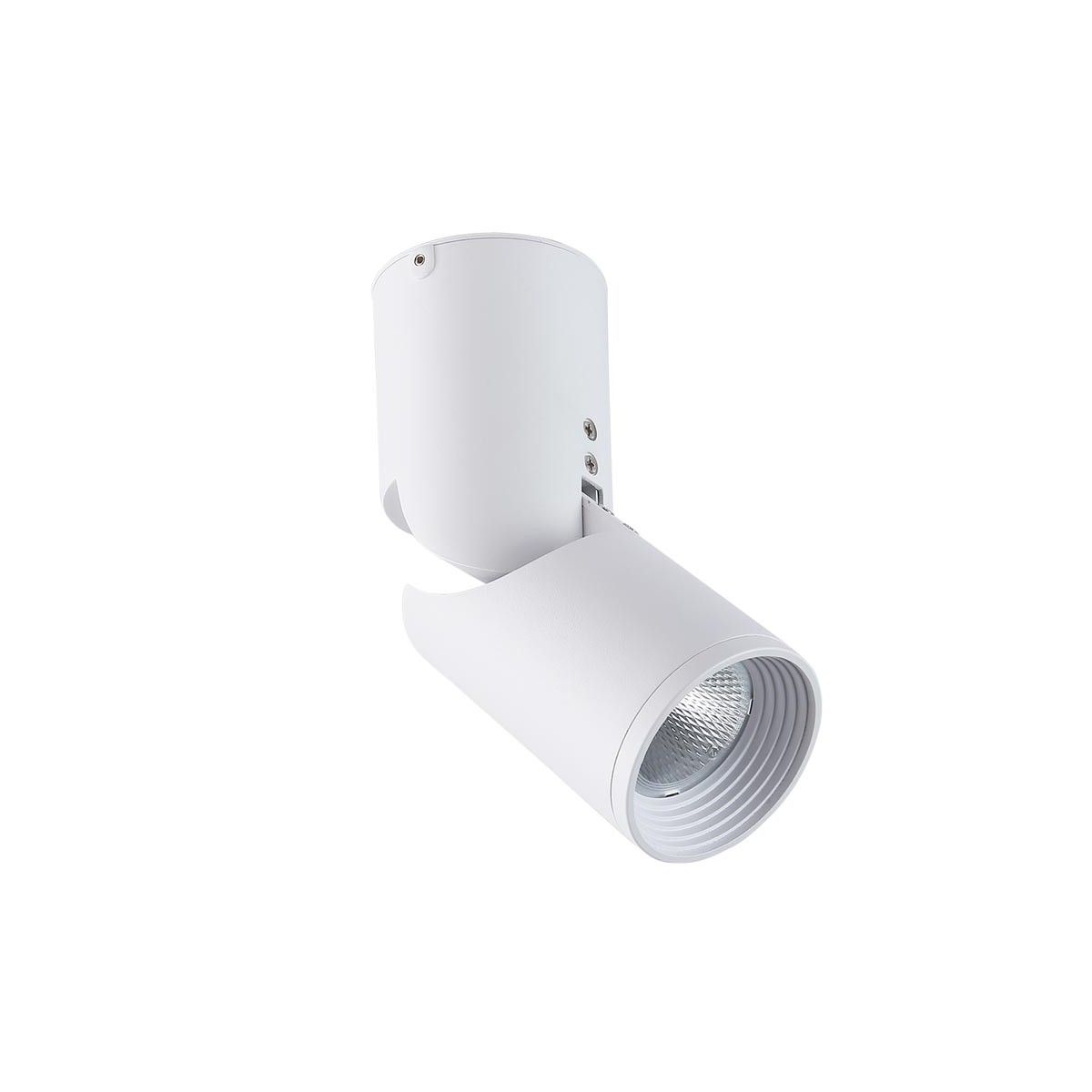 LED-Anbau-Downlight, schwenkbar - 15W - Cree Chip - IP20