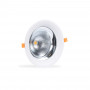 LED Downlight für Obst & Gemüse - 30W - Ø210 mm - Einbauleuchte, Einbaufedern