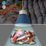 LED Leuchte für Fisch und Meeresfrüchte 36W KeGu Treiber produkte hervorheben