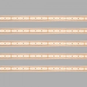 LED Streifen wasserdicht 24V Einfarbig 9,6W/m IP68 5 Meter led streifen warmweiß