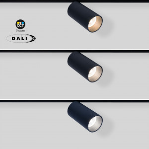 LED Strahler für Magnet Schienensystem 48V 10W DALI-2 dimmbar farbtemperatur einstellen