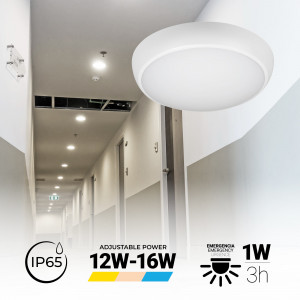 Wasserdichte LED-Deckenleuchte / Notlicht - CCT - einstellbare Leistung 12W-16W - Ø31cm - IP65