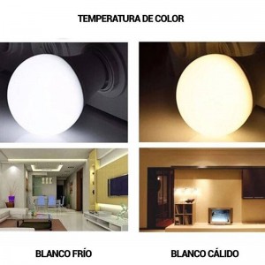 LED bulb E27 10W A60 DIMMABLE