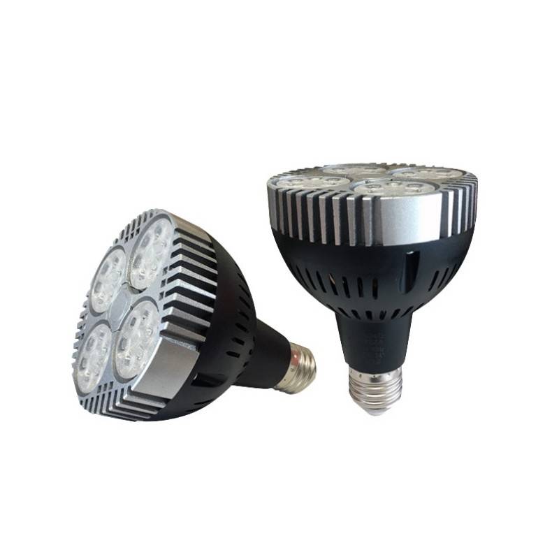 Buy LED PAR 30 E27 35W bulb