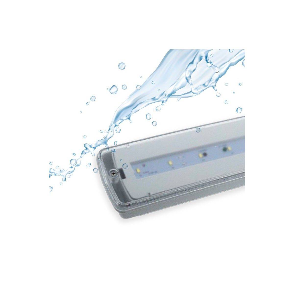 Waterproof LED emergency light IP65 3W 3 hrs of autonomy