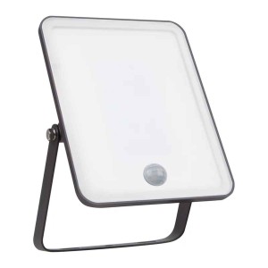 Ledvance 30W 6500ºK ESSENTIAL RANGE - Cool White - Sensor floodlight with sensor