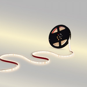 24V DC LED Strip - 12W/m - Single Color - 12mm - IP67 - 5 meters - SMD2835 60LED/m