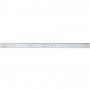 24V DC LED Strip - 12W/m - Single Color - 12mm - IP67 - 5 meters - SMD2835 60LED/m