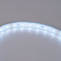 24V DC LED Strip - 12W/m - Single Color - 12mm - IP67 - 5 meters - SMD2835 60LED/m