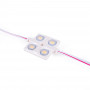 LED module for illuminated signs - 2W - 12V - IP65 - 160º - 6000K