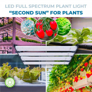 Grow light - Second sun for plants
