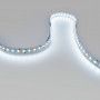 48V DC LED Strip - zoom CW