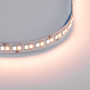 48V DC LED Strip - zoom 4 WW