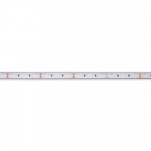 Submersible 24V DC LED Strip - Monochrome - 9.6W/m - 10mm - IP68 - 5 metres - 120LED/m