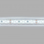 Submersible 24V DC LED Strip - Monochrome - 9.6W/m - 10mm - IP68 - 5 metres - 120LED/m