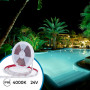 Submersible 24V DC LED Strip - Monochrome - 9.6W/m - 12mm - IP68 - 10 metres - 120LED/m