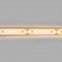 Submersible 24V DC LED Strip - Monochrome - 9.6W/m - 12mm - IP68 - 10 metres - 120LED/m