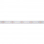 Submersible 24V DC LED Strip - Monochrome - 9.6W/m - 12mm - IP68 - 10 metres - 120LED/m