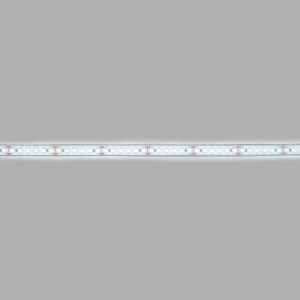 Submersible 24V DC LED Strip - Monochrome - 9.6W/m - 12mm - IP68 - 10 metres - 120LED/m