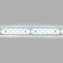 Submersible 24V DC LED Strip - Monochrome - 9.6W/m - 12mm - IP68 - 10 metres - 120LED/m