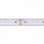 Submersible 24V DC LED Strip - Monochrome - 9.6W/m - 12mm - IP68 - 10 metres - 120LED/m