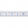 Submersible 24V DC LED Strip - RGBW - 14.4W/m - 12mm - IP68 - 10 metres - 60LED/m