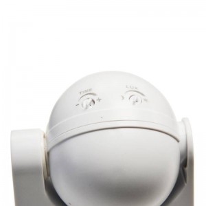 Adjustable motion detector