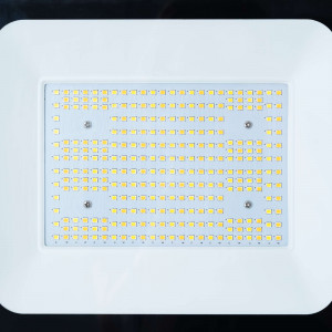 Outdoor LED floodlight - 100W CCT - "PRO" Series - 110lm/W - IP66 | LED projector