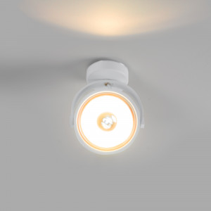 Adjustable ceiling spotlight "IRIS" + AR111 GU10 light bulb