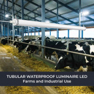 Tri-proof tube light for industrial use - 150cm - 60W - 6900lm - IP67 - IK10