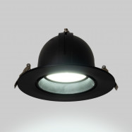 Adjustable round LED downlight - 38W - CCT - Black - 120° LIFUD Driver