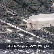 Linkable LED Tri-proof Light - DALI Dimmable - CCT - 150cm - 55W - LIFUD Driver - IP65