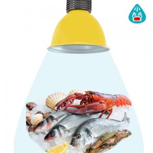 LED hood 30W special for fishmongers and seafood restaurants