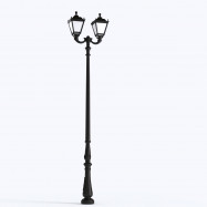 Double outdoor light pole...