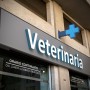 veterinaria