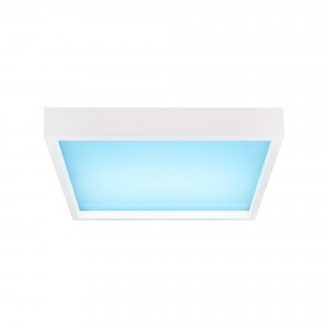 Panel "Blue Skylight" efecto cielo - Daylight - Regulable 0-10V - 155W - 60x60cm