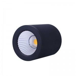 CCT mini "GESS" lampada da soffitto COB 15W IP54