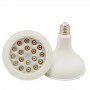 Lampadine LED PAR38