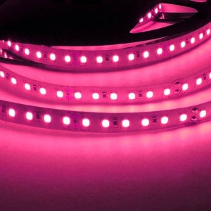 striscia led monocolore rosa