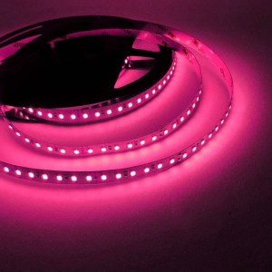 striscia led rosa