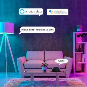 Lampadina Alexa WiFi E27, Fitop Lampadine Smart LED 9W (80W Equivalente)  Dimmerabile RGBCW Colore Cambiano Luci 2700K-6500K, Compatibile con Alexa/Google  Home/Siri, 2 Pezzi : : Illuminazione