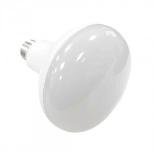 Acquista Eurolite 9210410U Lampadina Alogena E27 Riflettore 60 W Verde (Ø x  L) 80 mm x 110 mm 1 pz. da Conrad