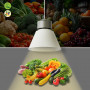 Campana LED per fruttivendolo 36W - KeGu Driver