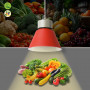 Campana LED per fruttivendolo 36W - KeGu Driver