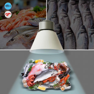 Campana LED 36W per pesce e frutti di mare - Driver KeGu